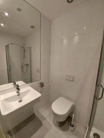 Pronájem bytu 1+kk, Praha - Smíchov, U Pernikářky, 22 m2