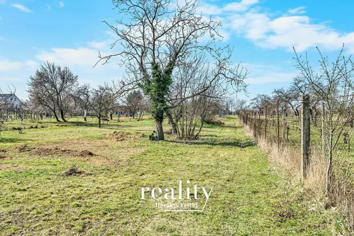 Prodej pozemku pro bydlení, Nový Šaldorf-Sedlešovice, 3000 m2