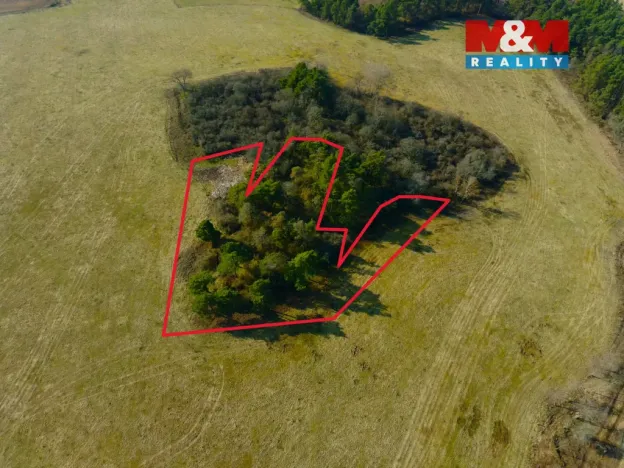 Prodej pole, Kladruby - Vrbice u Stříbra, 15633 m2