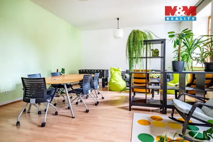 Prodej obchodního prostoru, České Budějovice - České Budějovice 1, Hradební, 615 m2