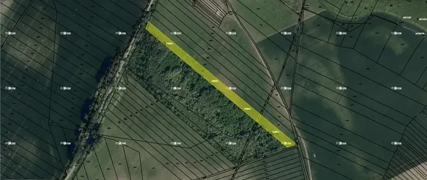 Prodej pole, Dubňany, 7674 m2
