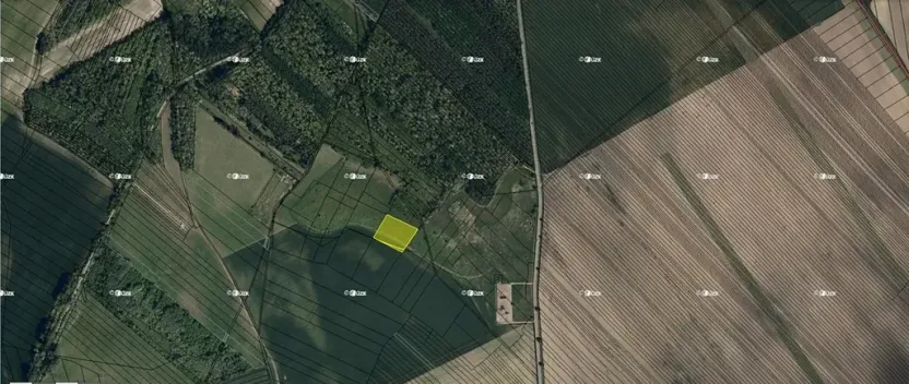 Prodej pole, Dubňany, 4310 m2