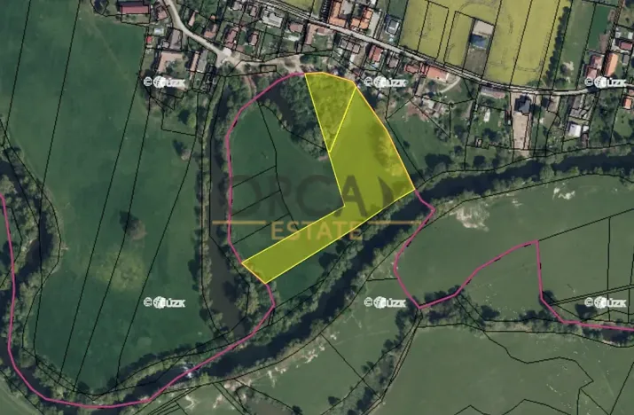 Prodej louky, Běleč nad Orlicí, 15624 m2