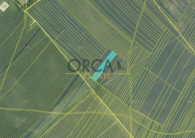 Prodej pole, Moravská Nová Ves, 13376 m2