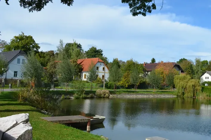 Prodej zemědělské usedlosti, Sezemice, 200 m2