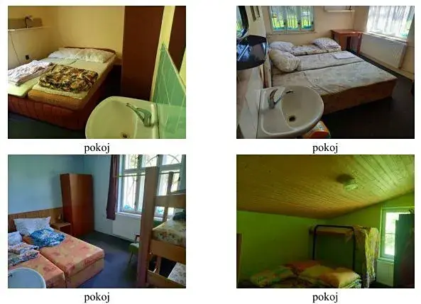 Dražba chalupy, Jindřichov, 550 m2