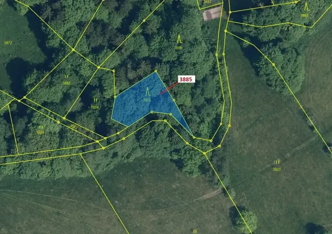 Dražba lesa, Semily, 561 m2