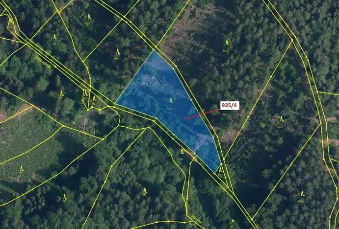 Dražba lesa, Jílové u Držkova, 3532 m2