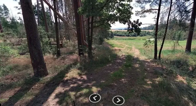 Dražba lesa, Chrášťany, 1726 m2