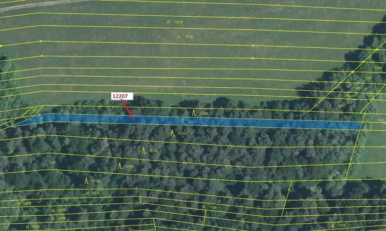 Dražba lesa, Strání, 1163 m2