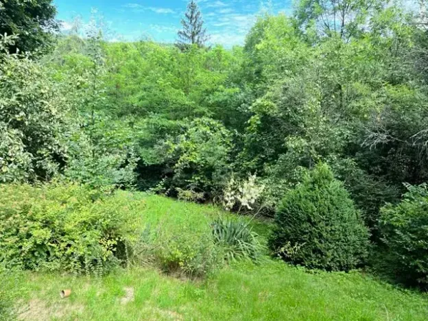 Pronájem zahrady, Křivoklát, 770 m2