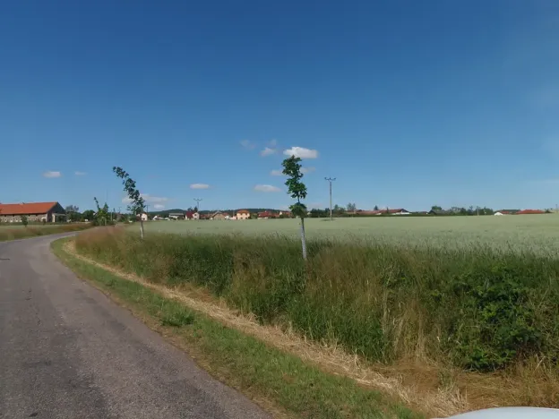 Prodej podílu pole, Podluhy, 12741 m2