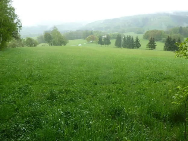 Prodej louky, Machov - Machovská Lhota, 31822 m2