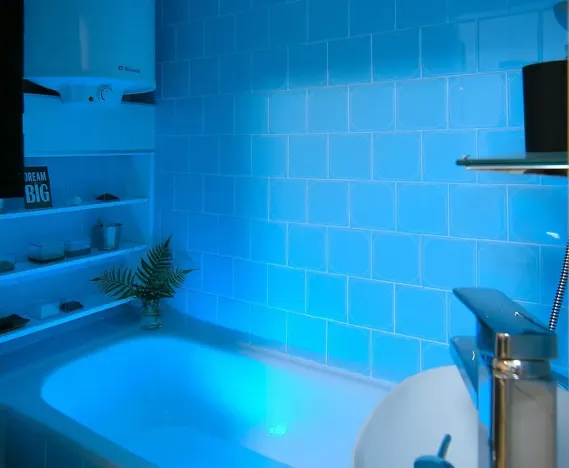 Pronájem bytu 2+kk, Ostrava, Myslbekova, 50 m2