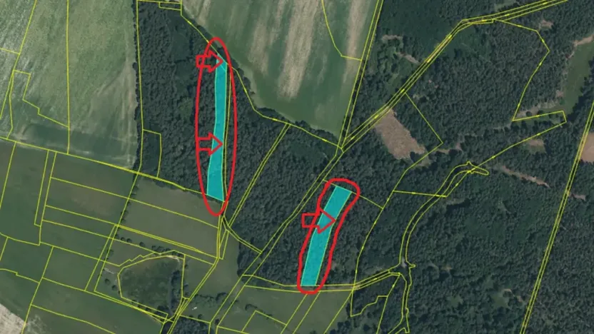 Prodej podílu lesa, Horšovský Týn, 4280 m2