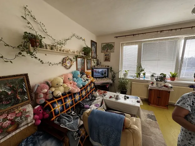 Prodej bytu 1+kk, Zruč nad Sázavou, Mládeže, 33 m2