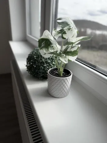 Pronájem bytu 2+kk, Brno - Ivanovice, Černohorská, 48 m2