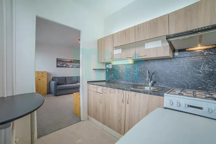 Pronájem bytu 1+1, Ostrava, Resslova, 29 m2