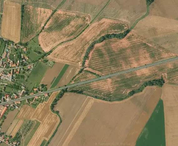 Prodej pole, Hořesedly, 4758 m2