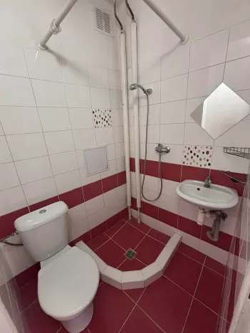 Pronájem bytu 1+kk, Ostrava - Hrabůvka, Krakovská, 21 m2