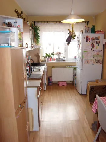 Prodej bytu 2+1, Zámrsk, 57 m2