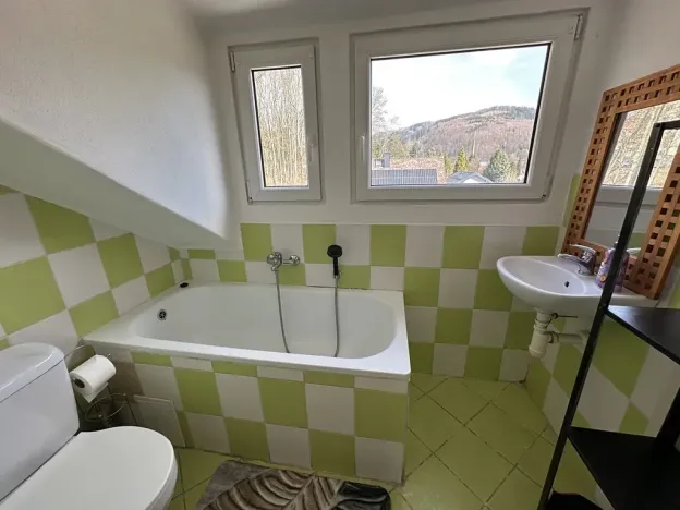 Pronájem bytu 1+1, Velké Hamry, 41 m2