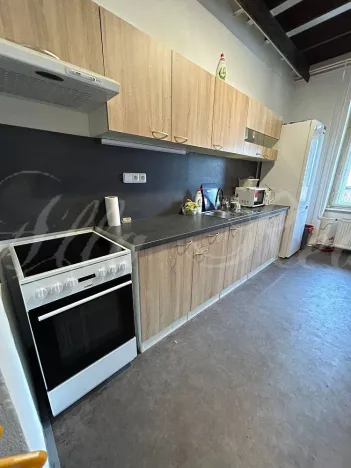 Pronájem bytu 4+1, Brno - Trnitá, Plotní, 15 m2