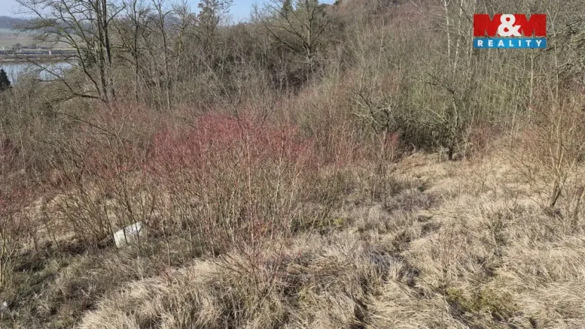 Prodej zahrady, Štětí, 1018 m2