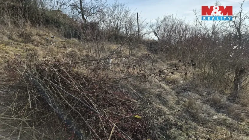 Prodej zahrady, Štětí, 1018 m2