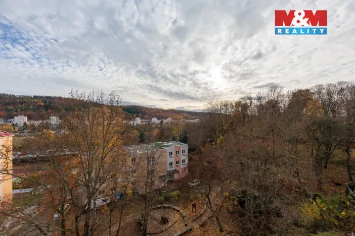 Prodej bytu 2+1, Karlovy Vary - Rybáře, Lad. Koubka, 50 m2