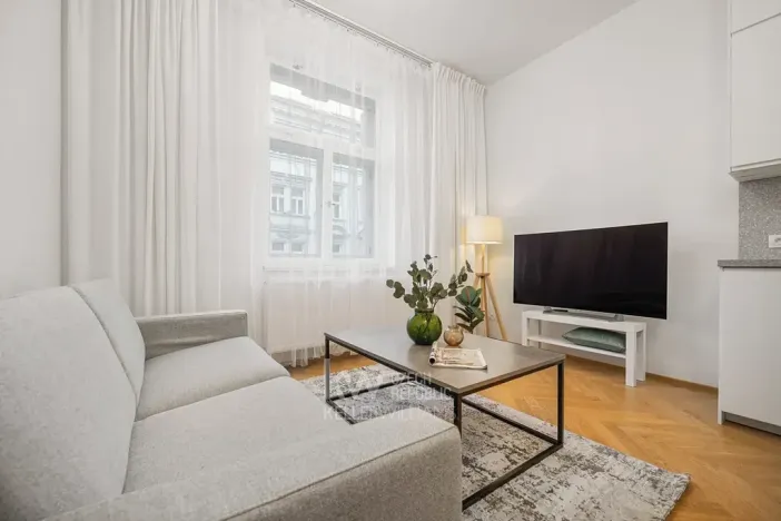 Prodej bytu 2+kk, Praha - Žižkov, Bořivojova, 51 m2