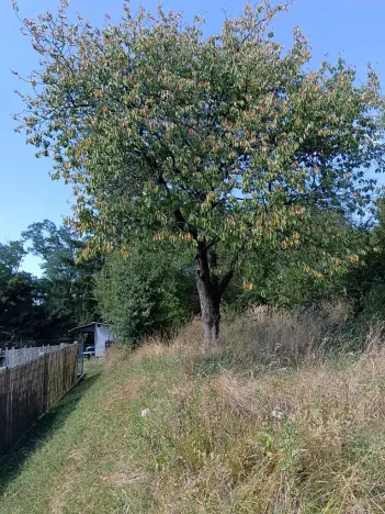 Prodej zahrady, Bojkovice, 1208 m2