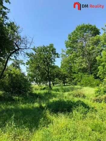 Prodej zahrady, Dalovice, 5231 m2