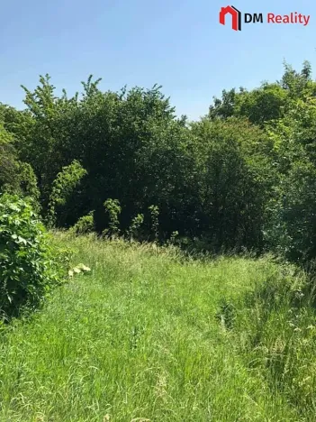 Prodej zahrady, Dalovice, 5231 m2