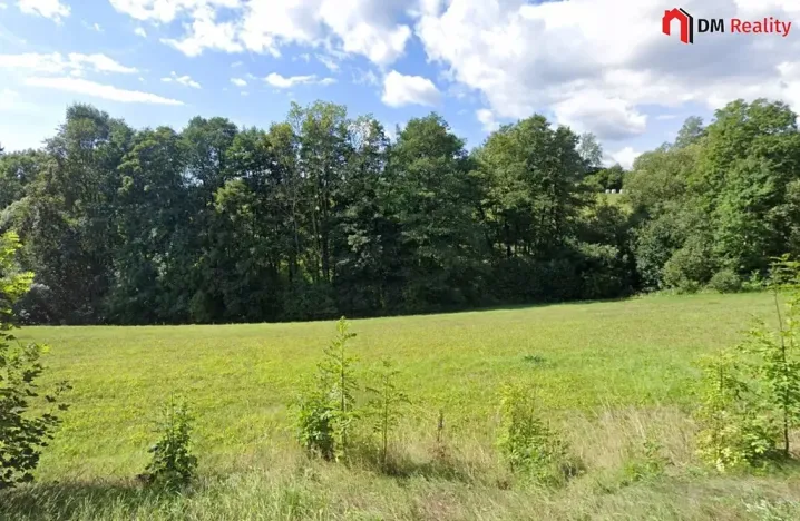 Prodej lesa, Zlatá Olešnice, 1248 m2