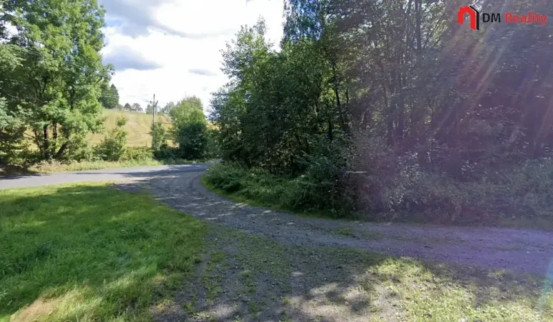 Prodej lesa, Zlatá Olešnice, 1248 m2