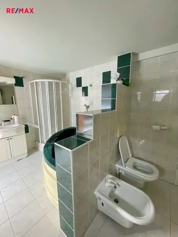 Pronájem rodinného domu, Brno, Kmochova, 88 m2