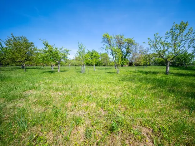 Prodej pozemku pro bydlení, Bučovice, Náhorní, 7851 m2