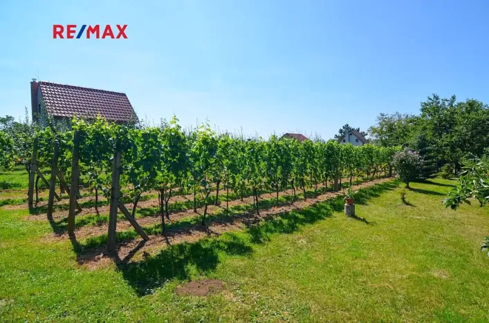 Prodej zahrady, Mikulov, 997 m2