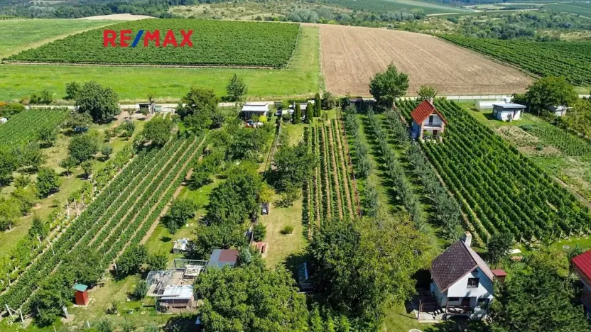 Prodej zahrady, Mikulov, 997 m2