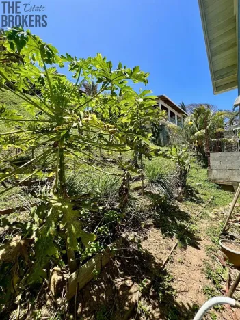 Prodej rodinného domu, Coxen Hole, Roatán, Honduras, 106 m2