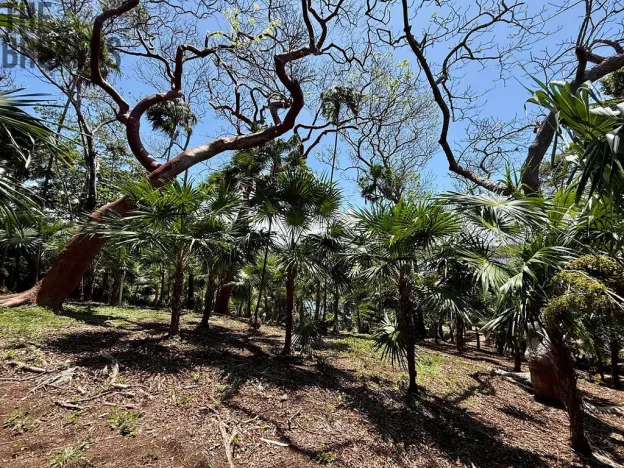 Prodej pozemku, Coxen Hole, Roatán, Honduras, 1902 m2