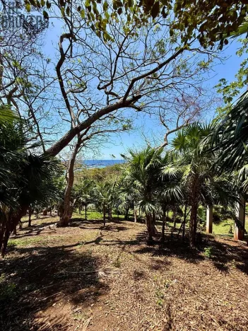 Prodej pozemku, Coxen Hole, Roatán, Honduras, 1902 m2