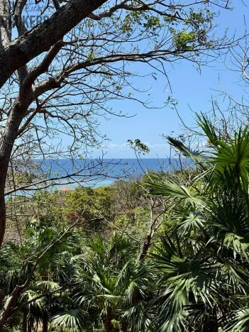 Prodej pozemku, Coxen Hole, Roatán, Honduras, 1902 m2