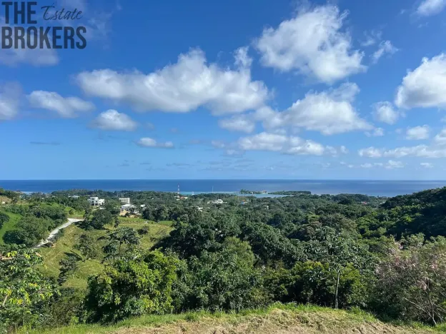Prodej pozemku, Coxen Hole, Roatán, Honduras, 570 m2