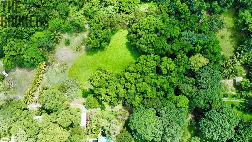 Prodej pozemku, Coxen Hole, Roatán, Honduras, 3265 m2