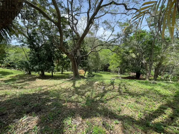 Prodej pozemku, Coxen Hole, Roatán, Honduras, 1872 m2