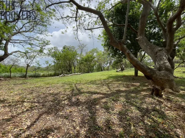 Prodej pozemku, Coxen Hole, Roatán, Honduras, 1821 m2