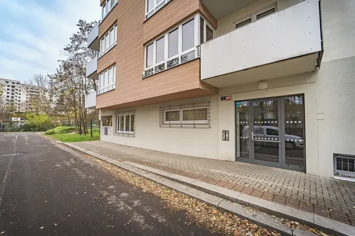 Prodej bytu 1+kk, Praha - Žižkov, U staré cihelny, 41 m2