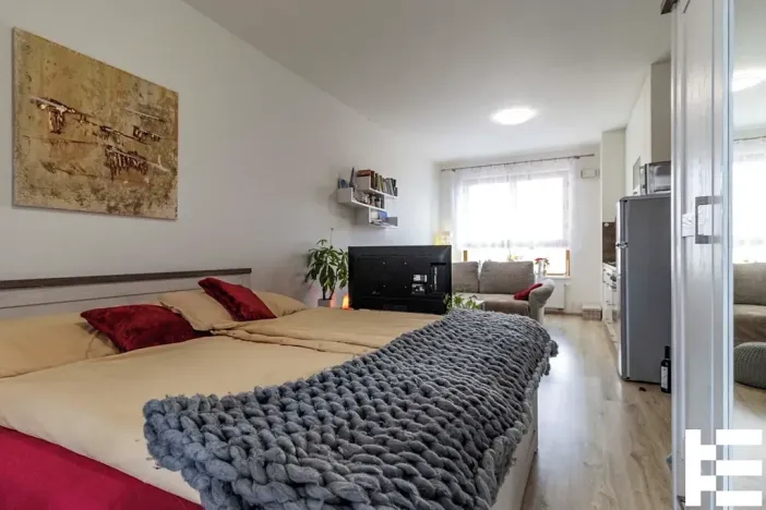 Pronájem bytu 1+kk, Praha - Modřany, Rorýsová, 38 m2